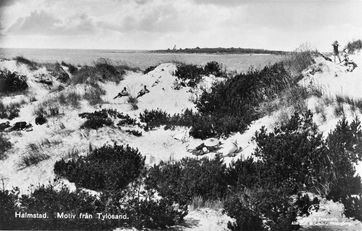 Vykort, "Halmstad, Motiv från Tylösand." Solbadare bland höga sanddyner med havet i bakgrunden.