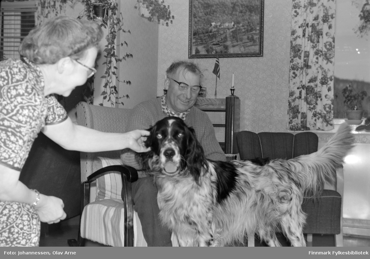 Foto av ukjent mann og kvinne med hund i stue

Fra venstre muligens: Fru Siversen og mann Guttleif? Usikker identifisering. 

Foto trolig tatt på  1960/70-tallet