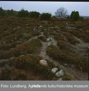 Labyrinten på Skallanäs i Onsala. Bilden publicerad i boken "Sevärt i Halland", Varbergs museums årsbok 1996 .