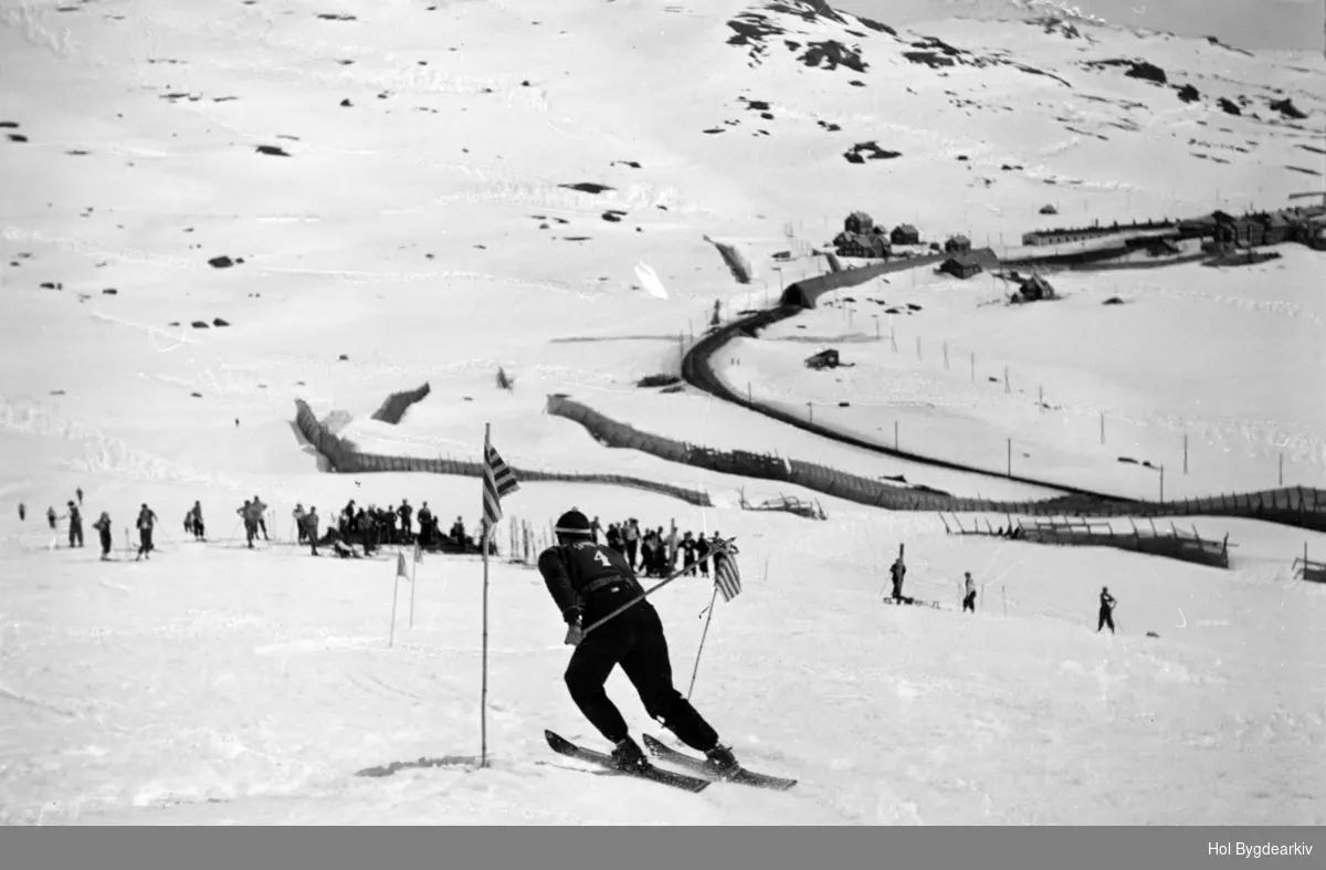 Skirenn, slalom, skiutstyr, alpinsport, tilskodarar, vinter
