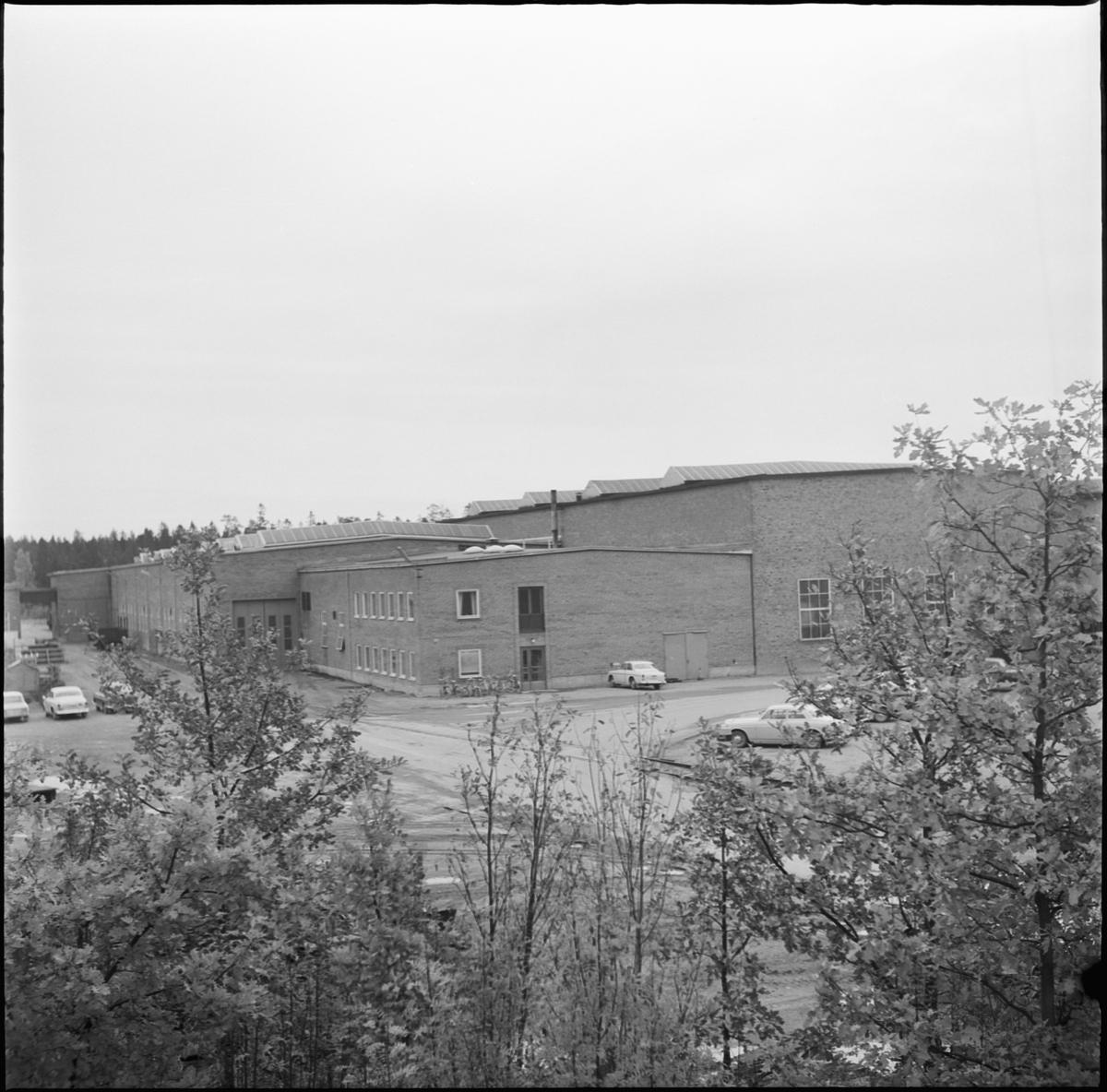 Rostfritt jubileum i Söderfors, Uppland 1968