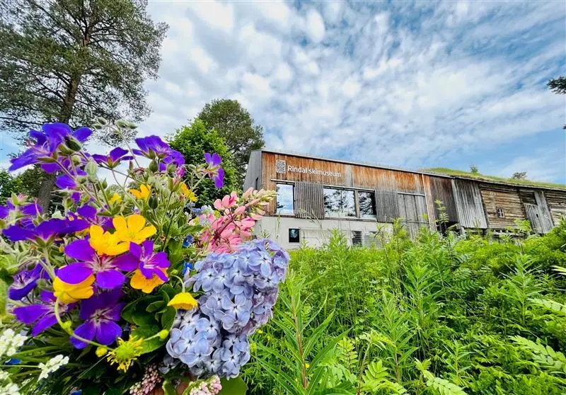 Bilde tatt fra veien opp mot Rindal skimuseum med blomster i forgrunnen.