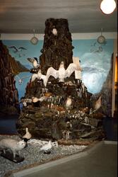 Modell av fuglefjell. Museet i Barentsburg.