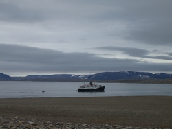 Nordstjernen i Murchisonfjorden.