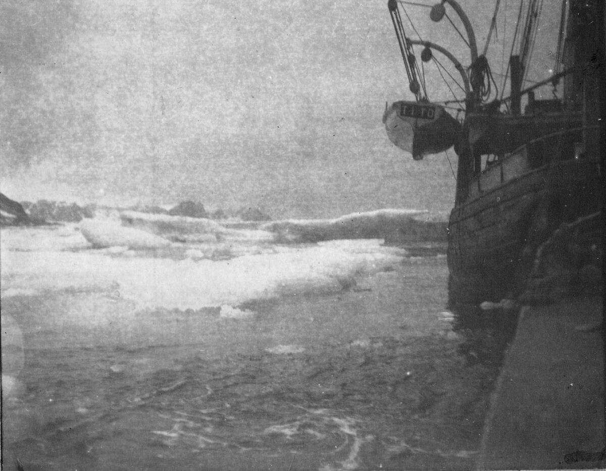 M/S Vaaland i pakkisen, Nord-Spitsbergen. Bilder etter Albert Edwin Nicholls, født i London 1905, død 1981.Emigrerte til Australia i 1969. Nicholls jobbet som ineniør på Svalbard i 1925-26 for Anglo Russian Grumant Company Ltd (ARG co.Ltd)