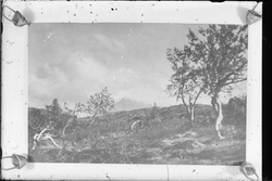 Reprofotografert bilde av fjellandskap med utsikt mot Gausta