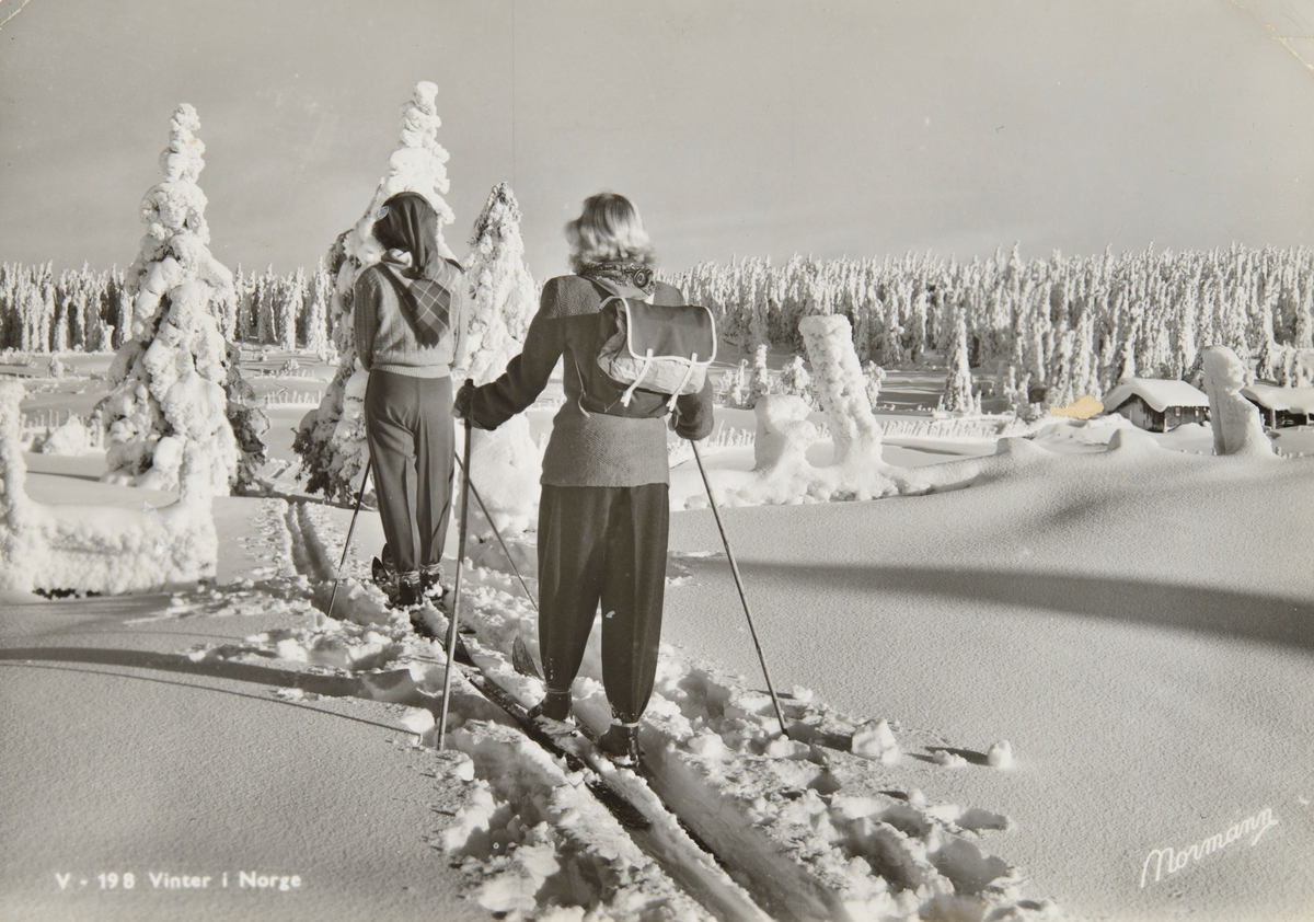 Postkort, Vang, Vangsåsen, Hedmarksvidda, vinterlandskap, skigåere, strekkbukse, 