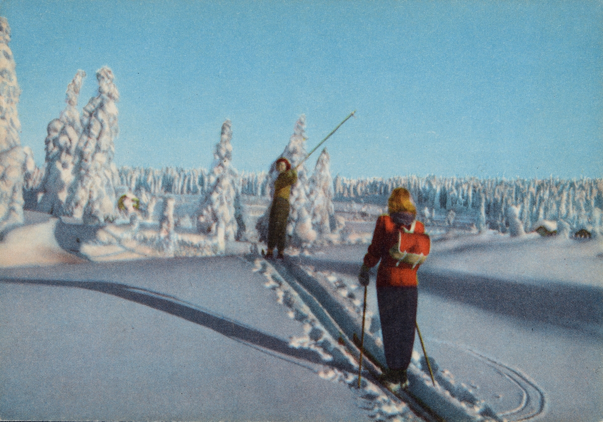 Postkort, Vang, Vangsåsen, Hedmarksvidda, vinterlandskap, skigåere, 