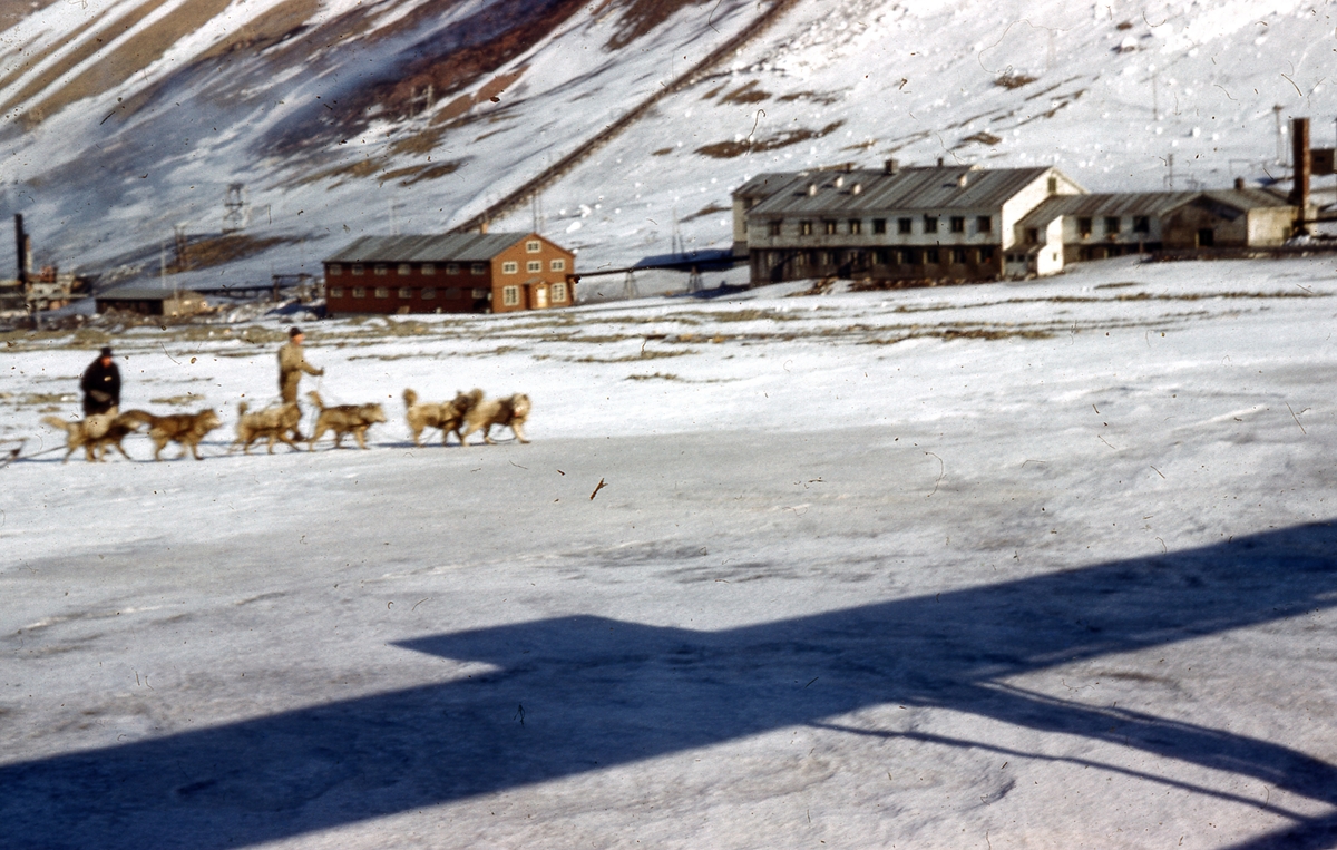 Bilder etter Hans og Astri Torgersrud som bodde i Longyearbyen i perioden 1955-1961