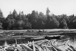 Tømmerfløting på Fulufjorden i Glomma, ved kommunegrensa mel