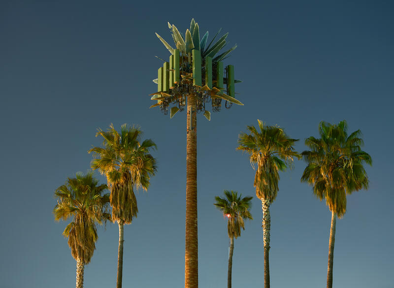 Bildet viser seks palmer hvor en av de ser ut som den har en mobilmast kamuflert som en palme i seg. Grønne palmer mot en knallblå himmel.