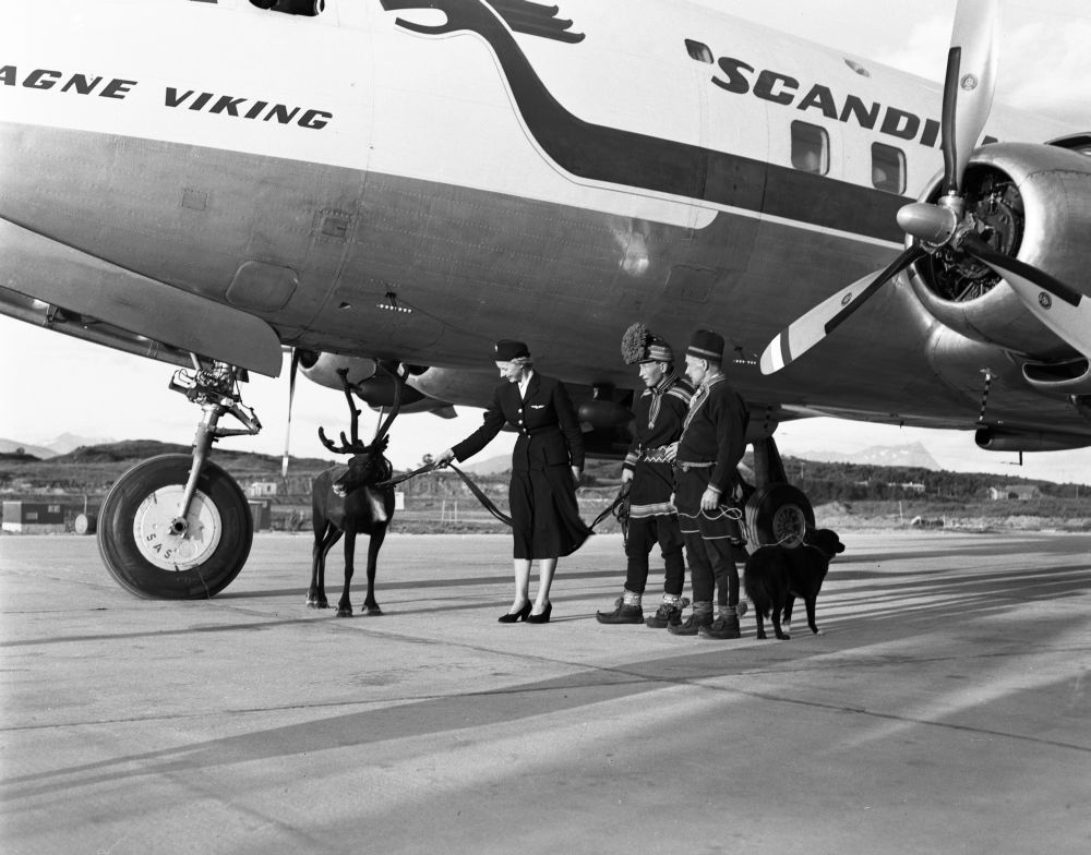 Karl og Kalle Karlstad med hunden Dilko og et reinstyr står oppstilt sammen med en flyvertinne foran SAS' DC-6 "Agne Viking".