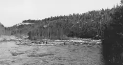 Fløting i elva Einunna i Folldal i 1939. Fotografiet er tatt