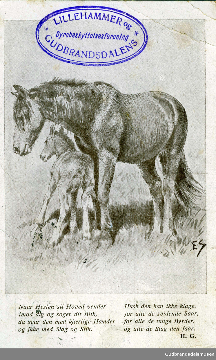 Tegnet postkort med hest og føll.