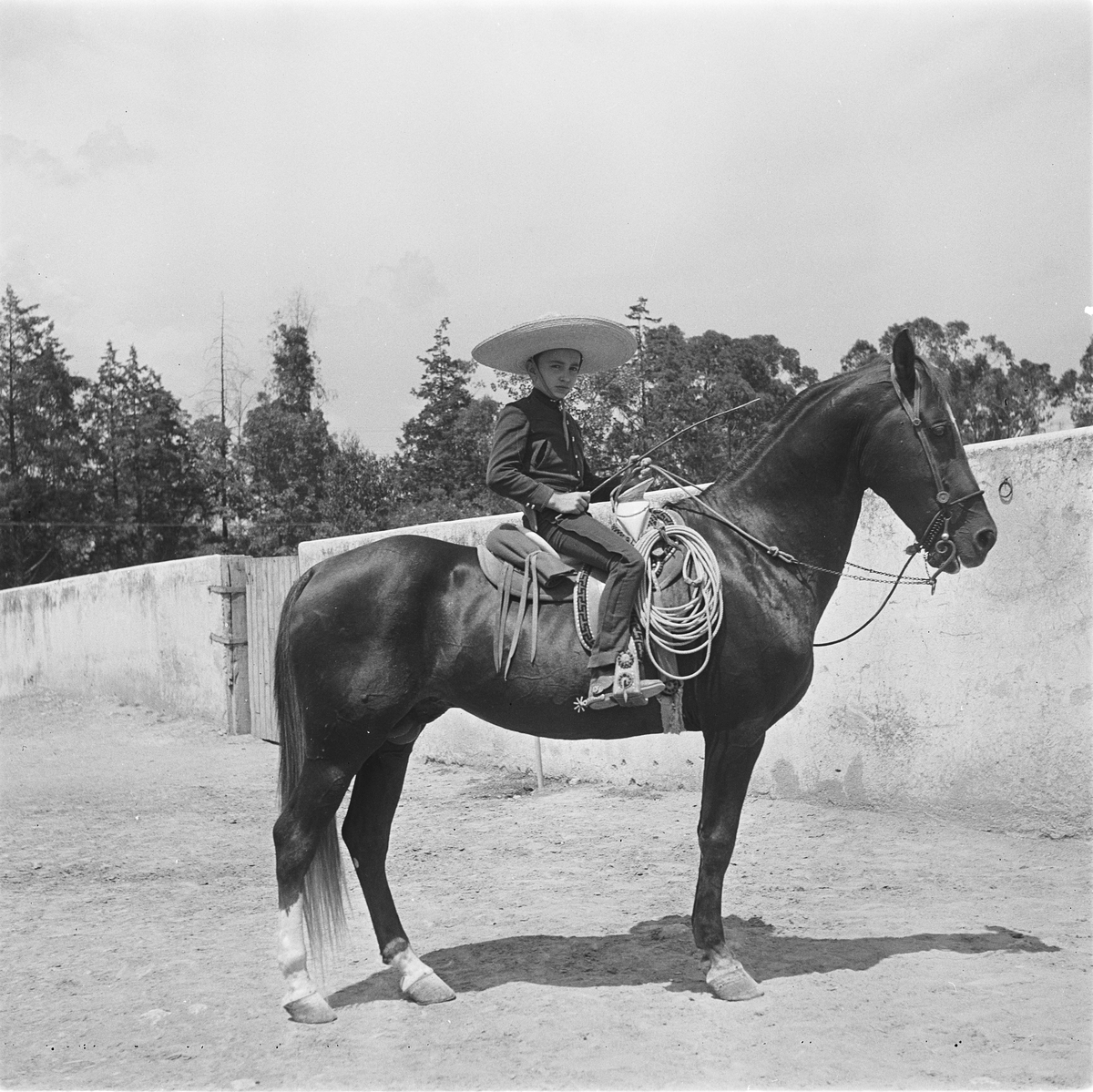 Gutt til hest. La Tapatia