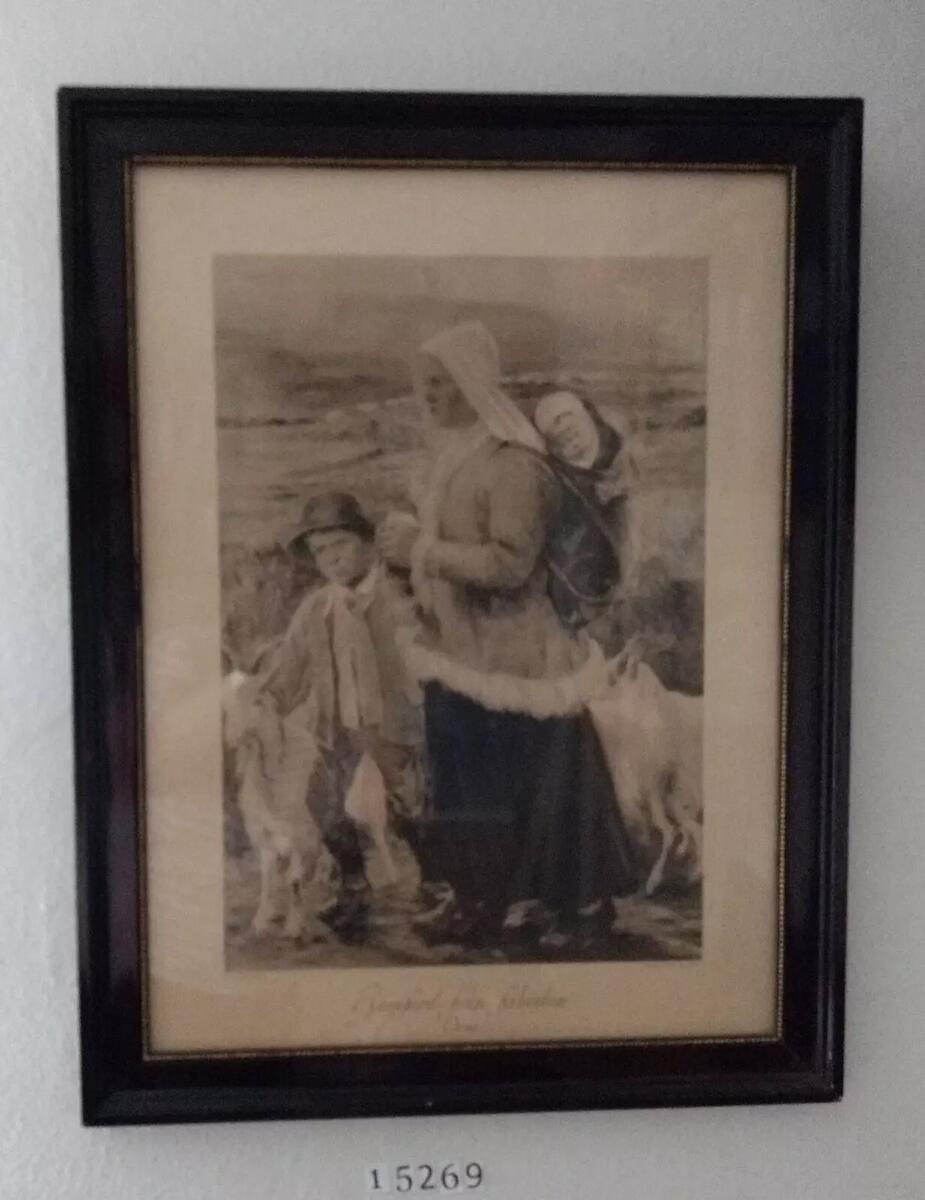 Kvinna vandrar med 2 barn från fäboden med getter runt dem i Orsa.
