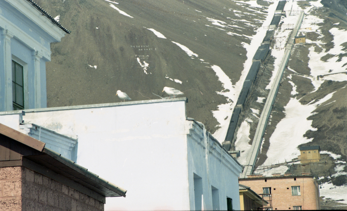 Fra Svalbardposten nr. 19 - 15. mai 1998. Reportasje om avviklingen av Pyramiden. Måker på taket av messa. Fjellheisen og Miru Mir/Fred på jord-skiltet i bakgrunnen. Under står det Tula; gruvebyen i Russland som mange av Pyramidens innbyggere kom fra.
