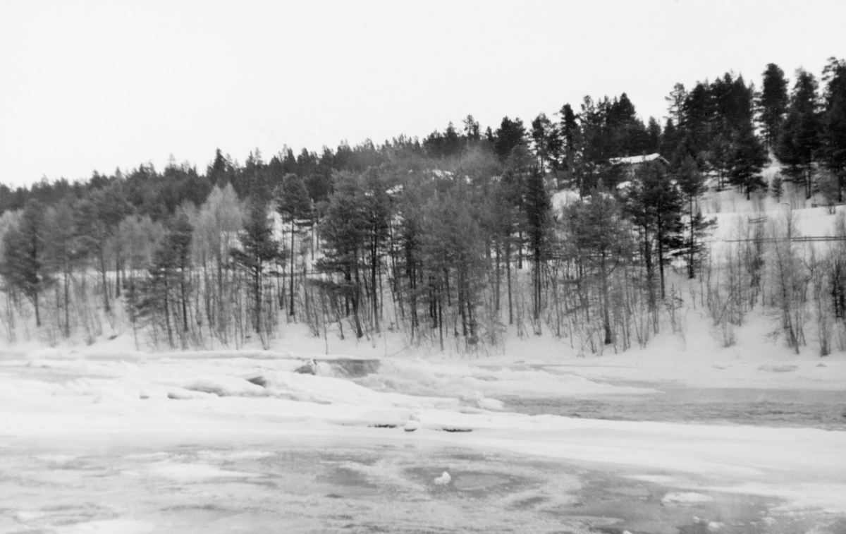 Snødekt elveløp der det hadde vært isgang. Fotografiet er sannsynligvis tatt i Tolga kommune i Nord-Østerdalen, vinteren 1938. Vinterisgang oppstår i innlandsvassdrag der det er tilstrekkelig fall til at det oppstår sørpeis og sarr (bunnis) med oppstuving og tilløp til dannelse av dammer. I den øvre delen av Glåma opplevdes dette som et stadig større problem etter at vassdraget ble regulert. Ettersom isen, når den kommer i sig, kan gjøre store skader langs vassdragene, ble eierne av Aursunddammen pålagt å manøvrere slik at naturlig vannføring ble opprettholdt inntil isforholdene nedover i vassdraget hadde stabilisert seg, vanligvis i desember måned. Deretter kunne tappinga økes trinnvis – fra 11 til 16 kubikkmeter i sekundet - til beste for elektrisitetsproduksjonen. Isgangsproblematikken var aktuell i 1938, for da ble det framlagt planer for flere kraftverk i den nordre delen av vassdraget, ved Eidefossen på Tolga og ved Barkaldfossen i Alvdal. Det forekom flere ganger at blant annet Tolga bru var truet av isgang, men det året dette fotografiet ble tatt later det ikke til å ha vært dramatikk knyttet til dette fenomenet.

Bygginga av en terskeldam ved Klevskjærene var et avbøtende tiltak som ble gjort i første halvdel av 1920-åra, noe som innebar større vannføring vinterstid, men mindre vannføring enn før i fløtingssesongen om våren. I Glommen og Laagens brukseierforenings jubileumsbok for perioden 1918-1943 heter det blant annet (side 140):

«Enn videre ble der etter forhandlinger og samråd med Vassdragsavesenet og fløtningen utført omfattende opprenskings- og forbyggingsarbeider på elvestrekningen Os-Tynset av hensyn til fløtningen her. Det var en rekke kostbare sprengninger og opprenskninger i fosser og stryk, skådammer ved Telneset, Lille-Telnes, Klevskjærene, Osmoen og Bakos samt lenser ved Øyan, Mosøya, som ble utført vinteren og sommeren 1924 for å avbøte ulemper under fløtningen om våren, når der ble tilbakeholdt vann i Aursunden.»