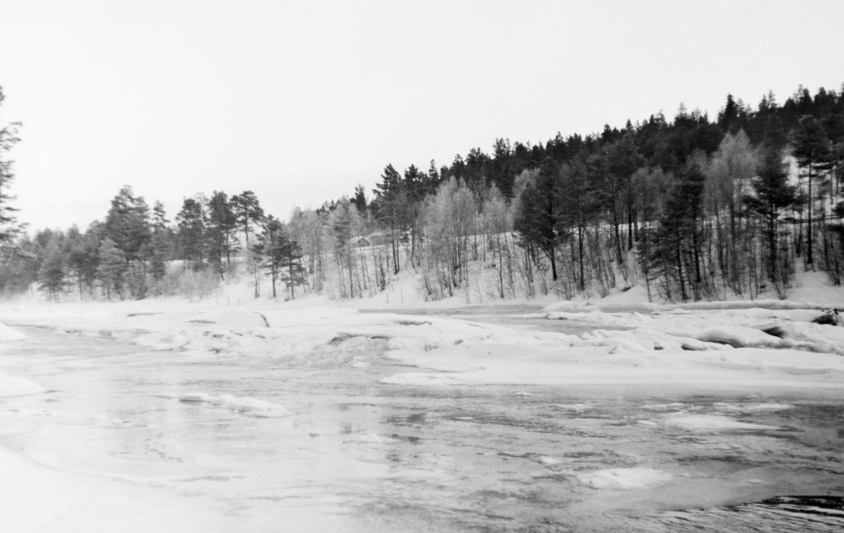 Snødekt elveløp der det hadde vært isgang. Fotografiet er sannsynligvis tatt i Tolga kommune i Nord-Østerdalen, vinteren 1938. Vinterisgang oppstår i innlandsvassdrag der det er tilstrekkelig fall til at det oppstår sørpeis og sarr (bunnis) med oppstuving og tilløp til dannelse av dammer. I den øvre delen av Glåma opplevdes dette som et stadig større problem etter at vassdraget ble regulert. Ettersom isen, når den kommer i sig, kan gjøre store skader langs vassdragene, ble eierne av Aursunddammen pålagt å manøvrere slik at naturlig vannføring ble opprettholdt inntil isforholdene nedover i vassdraget hadde stabilisert seg, vanligvis i desember måned. Deretter kunne tappinga økes trinnvis – fra 11 til 16 kubikkmeter i sekundet - til beste for elektrisitetsproduksjonen. Isgangsproblematikken var aktuell i 1938, for da ble det framlagt planer for flere kraftverk i den nordre delen av vassdraget, ved Eidefossen på Tolga og ved Barkaldfossen i Alvdal. Det forekom flere ganger at blant annet Tolga bru var truet av isgang, men det året dette fotografiet ble tatt later det ikke til å ha vært dramatikk knyttet til dette fenomenet.

Bygginga av en terskeldam ved Klevskjærene var et avbøtende tiltak som ble gjort i første halvdel av 1920-åra, noe som innebar større vannføring vinterstid, men mindre vannføring enn før i fløtingssesongen om våren. I Glommen og Laagens brukseierforenings jubileumsbok for perioden 1918-1943 heter det blant annet (side 140):

«Enn videre ble der etter forhandlinger og samråd med Vassdragsavesenet og fløtningen utført omfattende opprenskings- og forbyggingsarbeider på elvestrekningen Os-Tynset av hensyn til fløtningen her. Det var en rekke kostbare sprengninger og opprenskninger i fosser og stryk, skådammer ved Telneset, Lille-Telnes, Klevskjærene, Osmoen og Bakos samt lenser ved Øyan, Mosøya, som ble utført vinteren og sommeren 1924 for å avbøte ulemper under fløtningen om våren, når der ble tilbakeholdt vann i Aursunden.»
