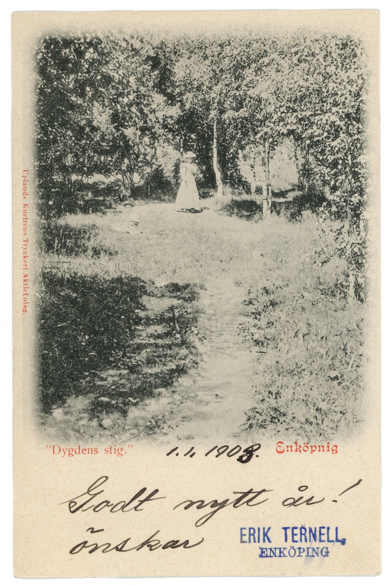 Vykort med motiv av "Dygdens Stig", Enköping. Fotograferat före 1903.