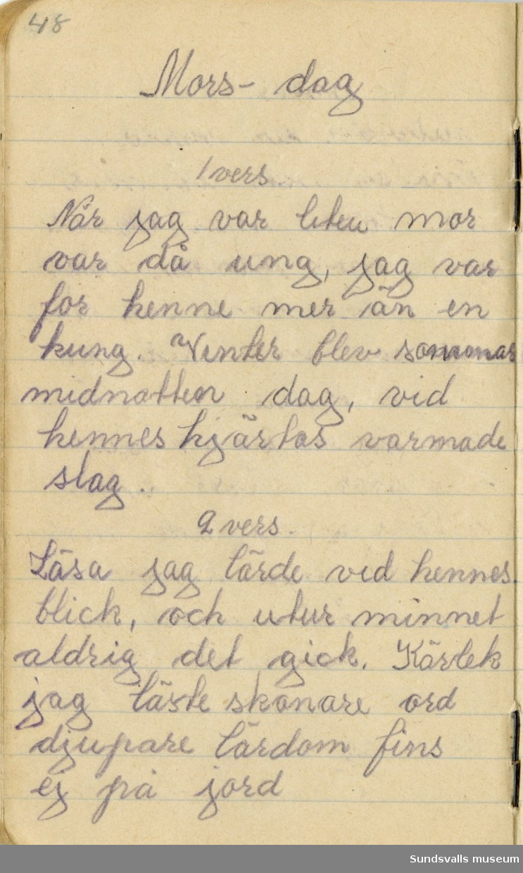 Anna Johansson föddes på en bondgård i Byn, Torp. Dagboken sträcker sig mellan åren 1919–1920. 
Dagboken, som är skriven under Annas ungdomsår, handlar bland annat om biobesök, samvaro med vänner och arbete hemma på gården. Flera visor är också nedtecknade i boken.