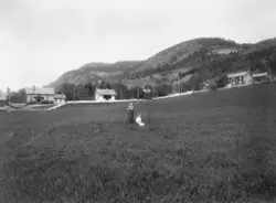 Aurdal i Valdres 1910. Fra gården Vinjar (tidligere skrevet 