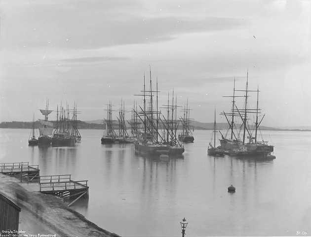 Prot: Gamle Skibe oplagte i Piberviken Jan 1902