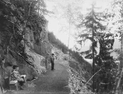 Prot: Drammen - Huldrehageveien i Aasen 11. Aug. 1903
