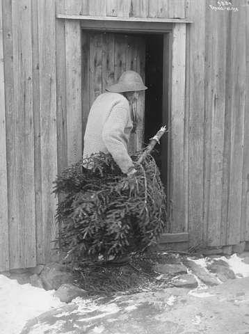 Prot: Fiskeren med Juletre 1909