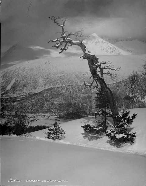 Prot: Romsdalen Vinter - Høifjeld
