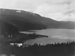 Prot: Nordland - Elsfjord