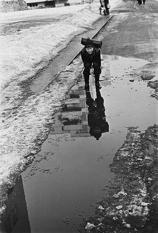 Prot:   Vårtegn gutt speiler seg i damm