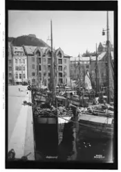Prot: Aalesund havn