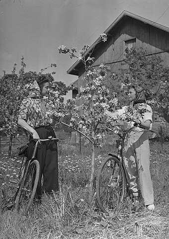 Prot: Syklister epletre