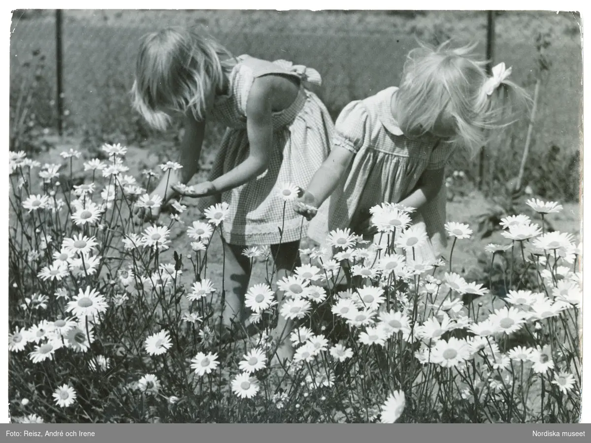 Två flickor plockar blommor i en rabatt.