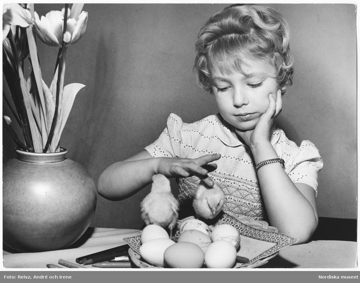 En flicka sitter vid bordet och stryker ryggen på små kycklingar.
