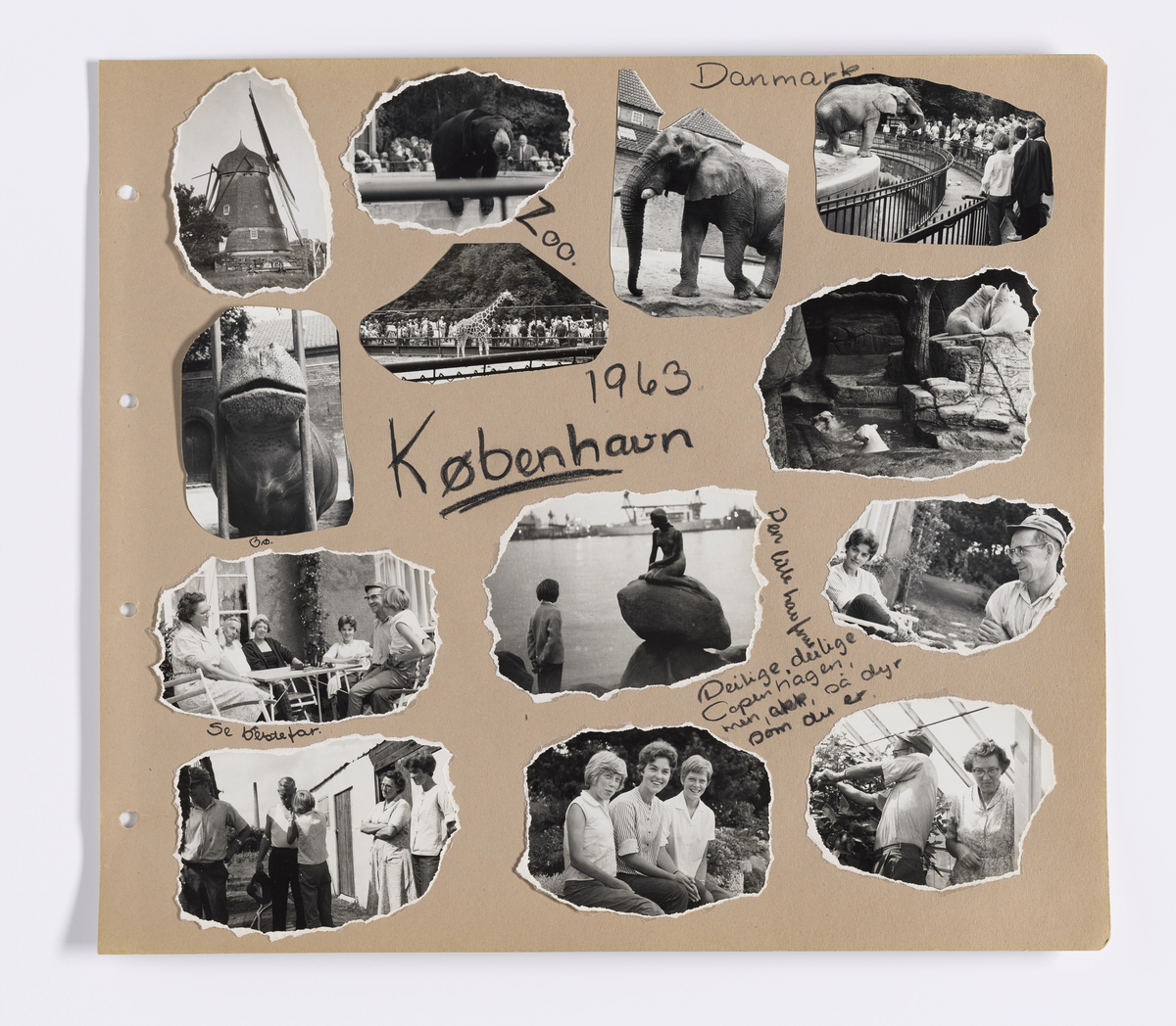 Albumet inneholder barnebilder av Synnøve Brænsdhøi sin datter Mette Digerud Brænsdhøi i alderen 7 til 16 år (1954 - 1965).  

Avbildet personer: Mette Digerud Brændsøi, Synnøve Brænsdhøi, Knut Kristian Brændshøi, Kari Brændsøi, .