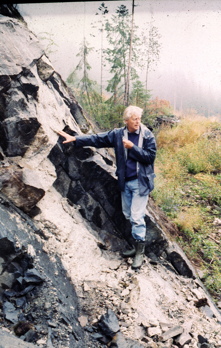 Geolog Johannes Donns i Gardnos Meteorittkrater. Han er her i området for avsetningsbergarter/ sedimentære bergarter mot Garnåsgardene. Her er det bl.a. skifer.
