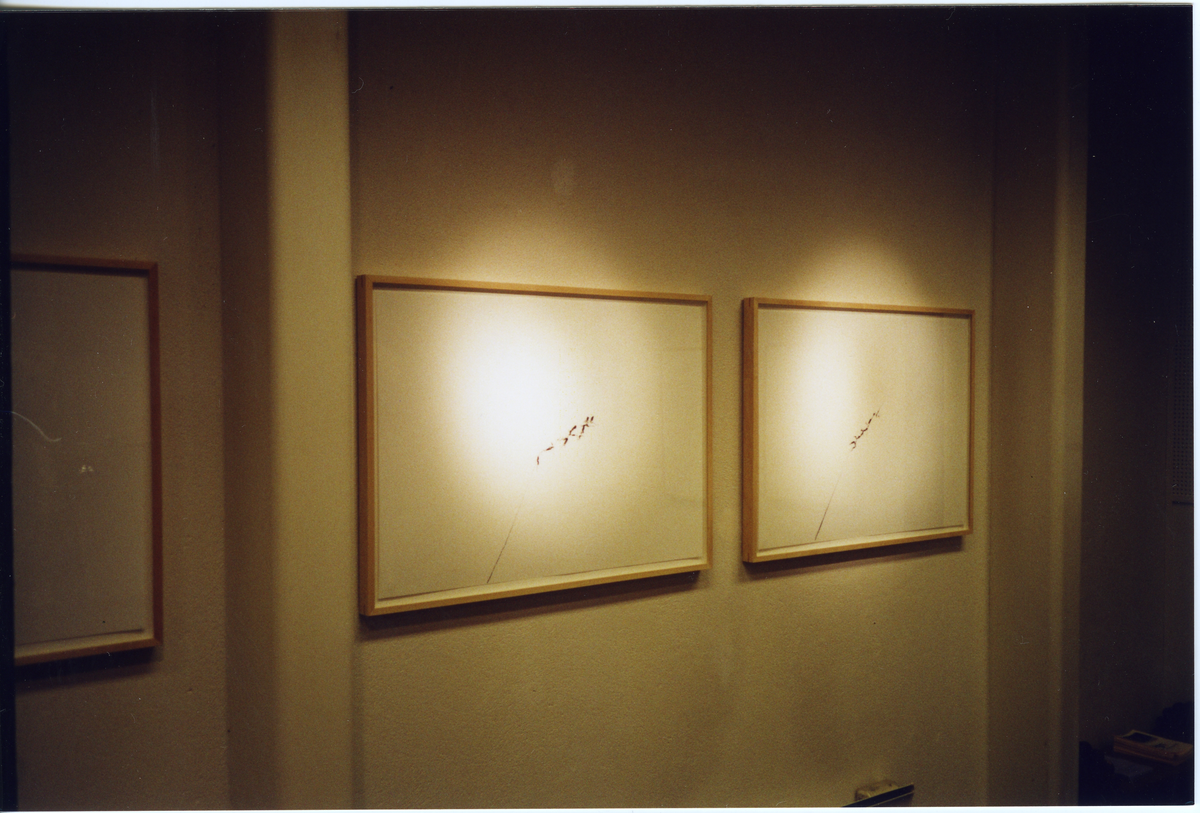 Utstilling
Del av utstillingen &quot¤Tegn&quot¤ av Jan Groth.
