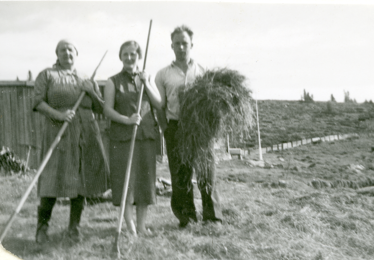 Slåttonna 1958. Mette Renslo, Magda Renslo og Morten Renslo.
