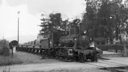 Damplokomotiv type 18c nr. 241 med godstog på Koppang stasjo