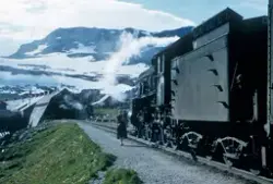 Damplokomotiv type 31b nr. 429 med dagtoget fra Oslo til Ber