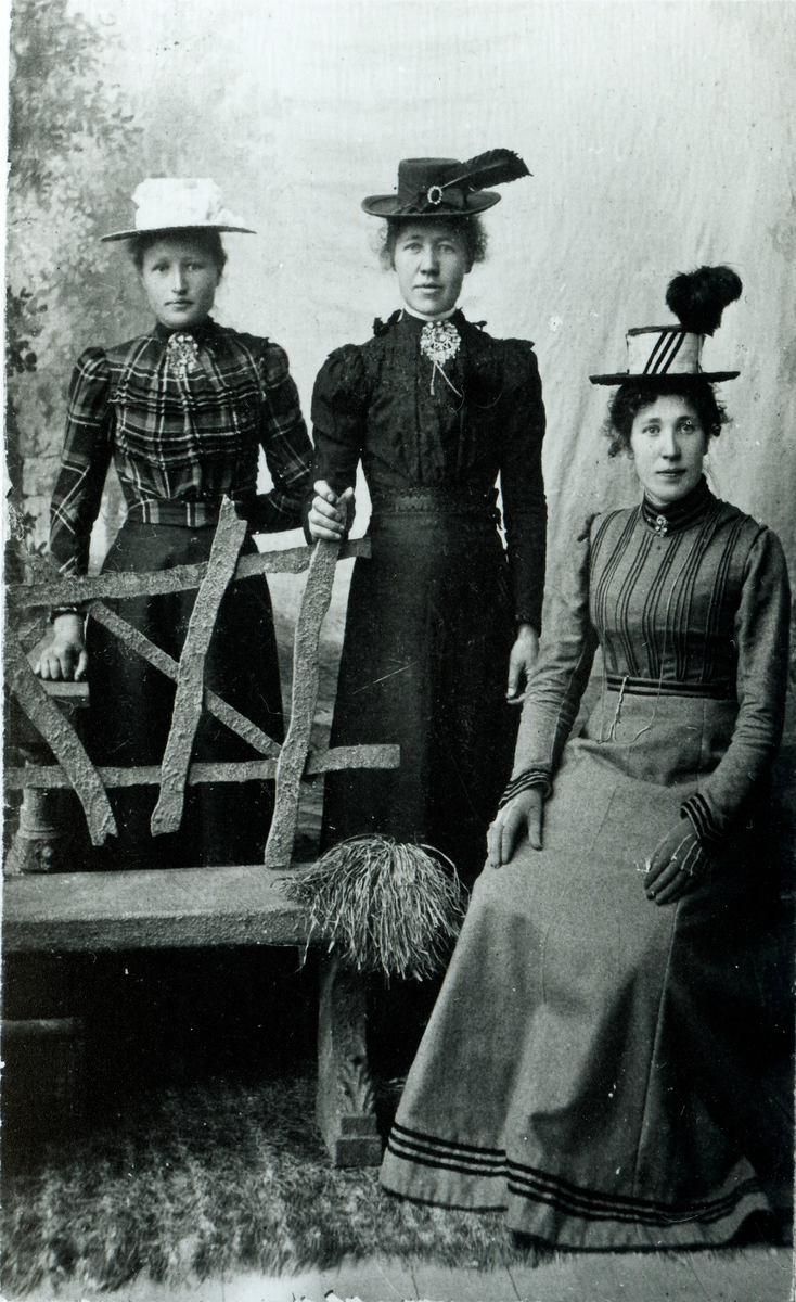 Portrett av 3 damer med ,hatt,kjole,hansker og søljer.