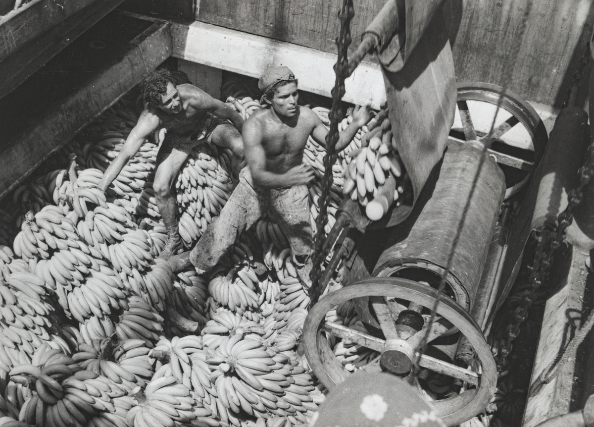 Lastning av bananer.
"Bananlastning med S/S LA PERLA (Panamaregistrerad) i Duala, Cameroon, 1948"