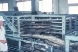 Motiv fra Japantur : Maskineri ved en sjømatfabrikk