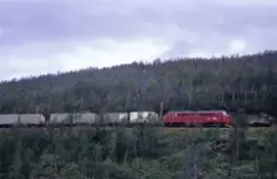 Diesellokomotiv Di 3 633 med sydgående godstog nord for Dund