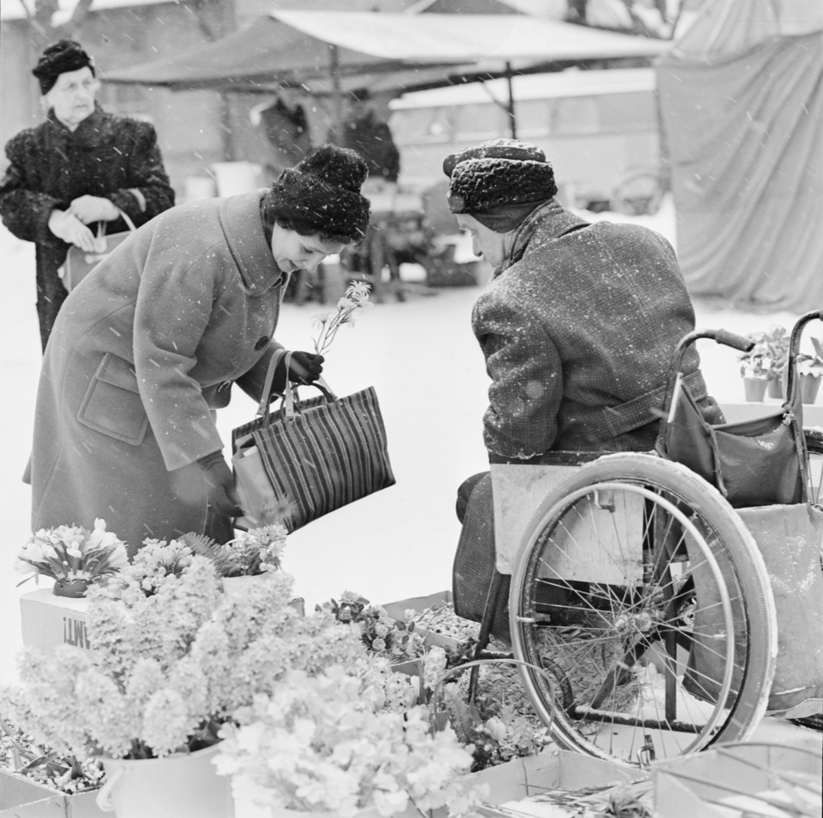 Distingsmarknad - "Dålig köplust i snöblåsten", Uppsala februari 1963