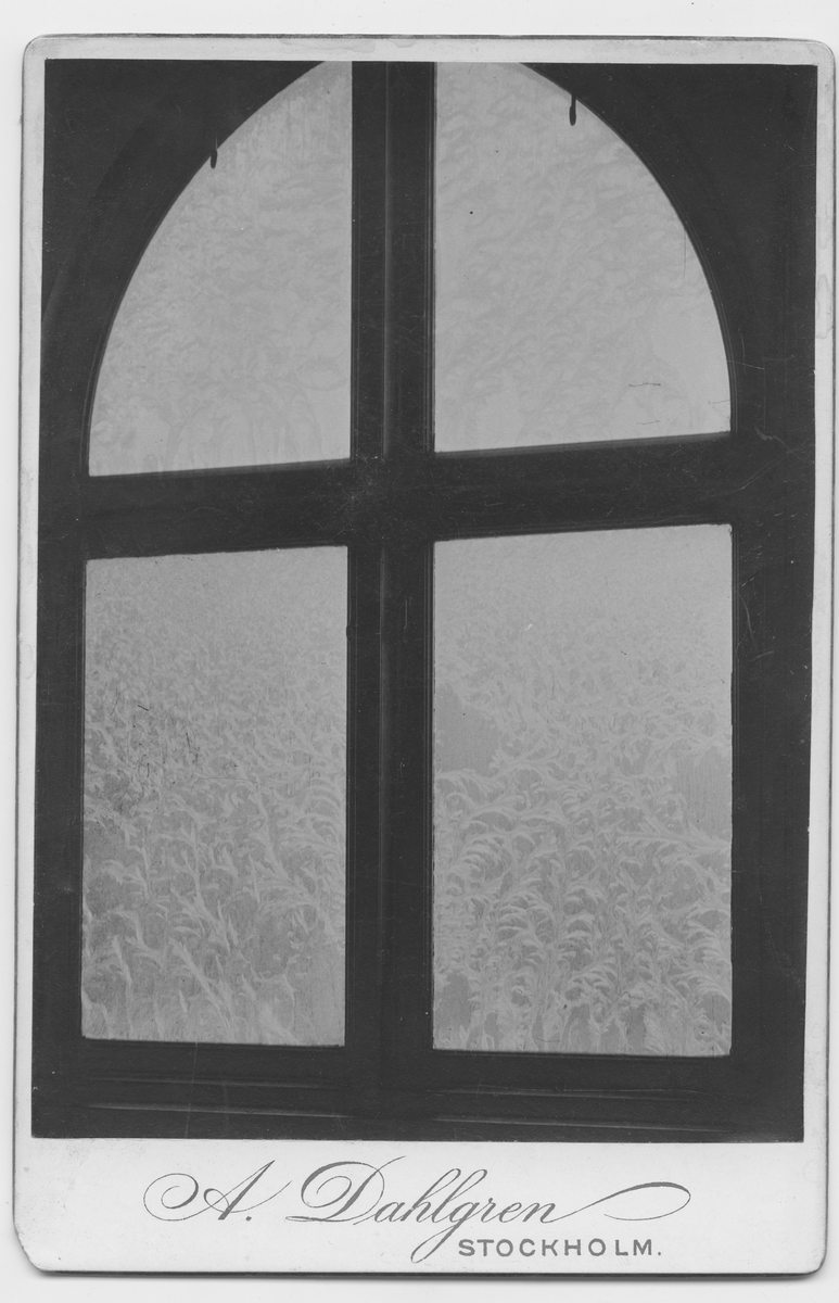 På kuvertet står följande information sammanställd vid museets första genomgång av materialet: Fönster med rimfrost.