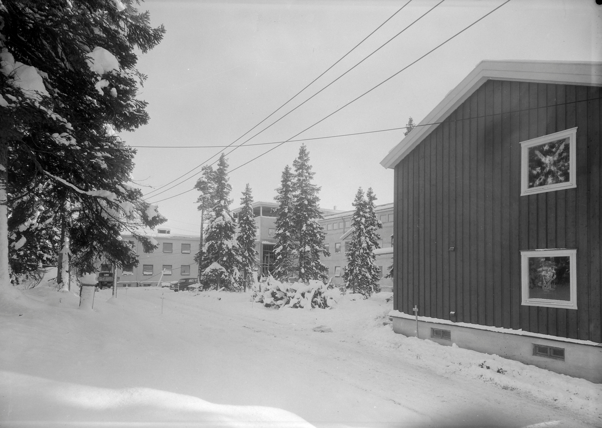 Eksteriør av bygningene til Haukåsen sykehus.
