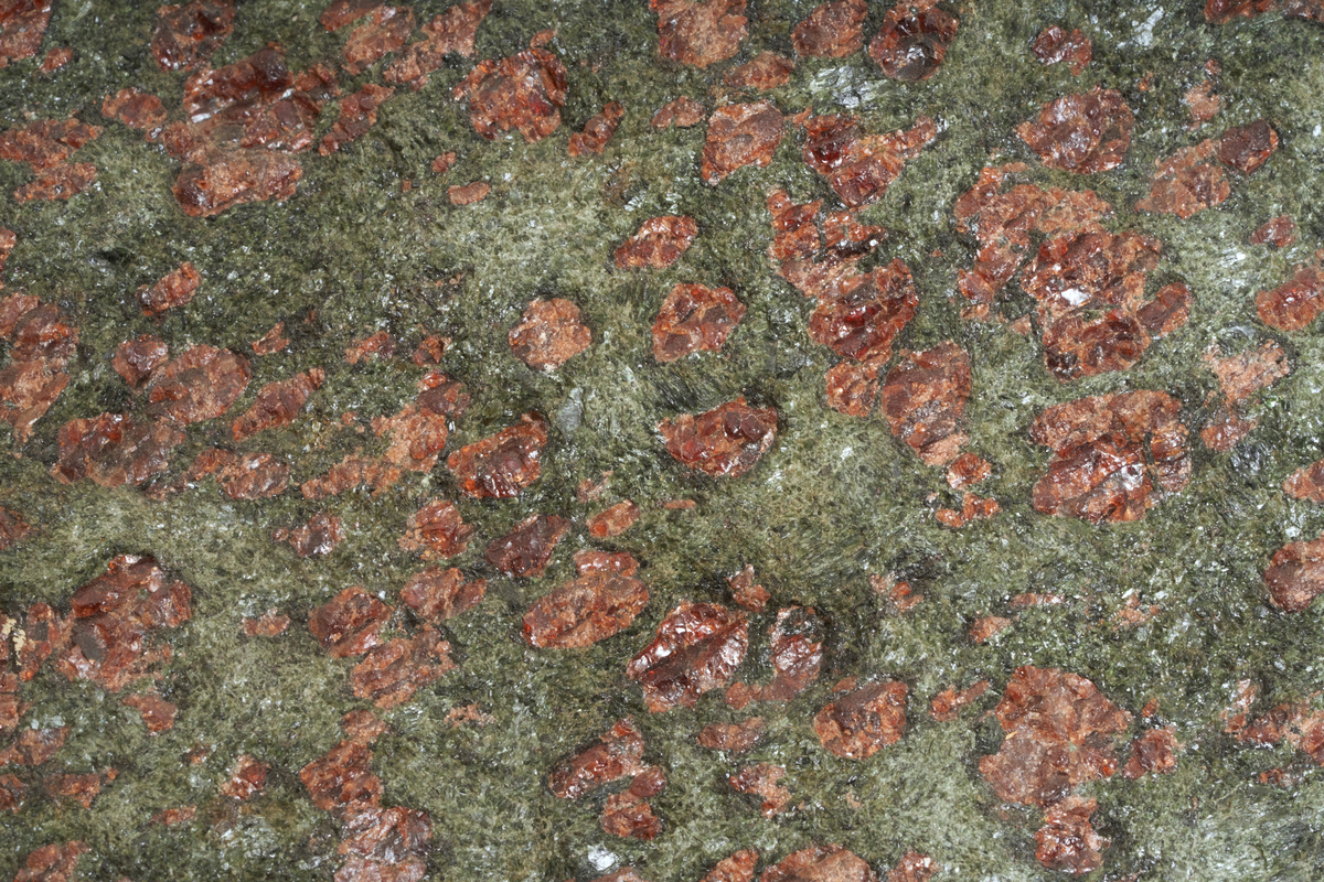 dyp rød granat (pyrop-almandin) og gressgrønn natrium- og aluminiumrik pyroksen (omfacitt).